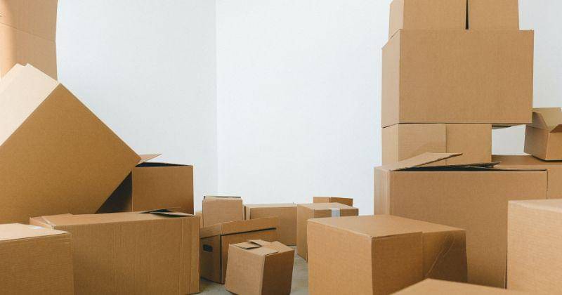 Pexels/SHVET production